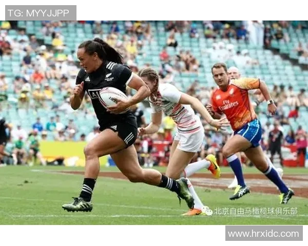 提华纳与美洲狮激战在即谁能在这场对决中笑到最后